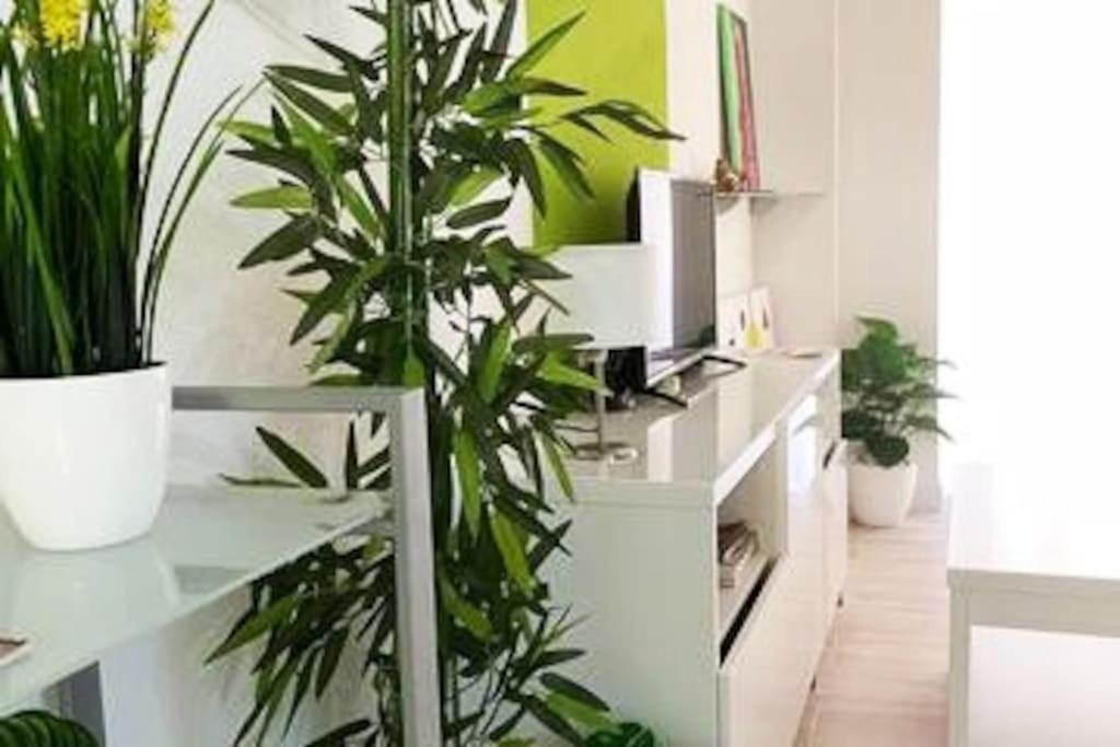 Apartamento Modern Oscvict En Murcia Eksteriør billede